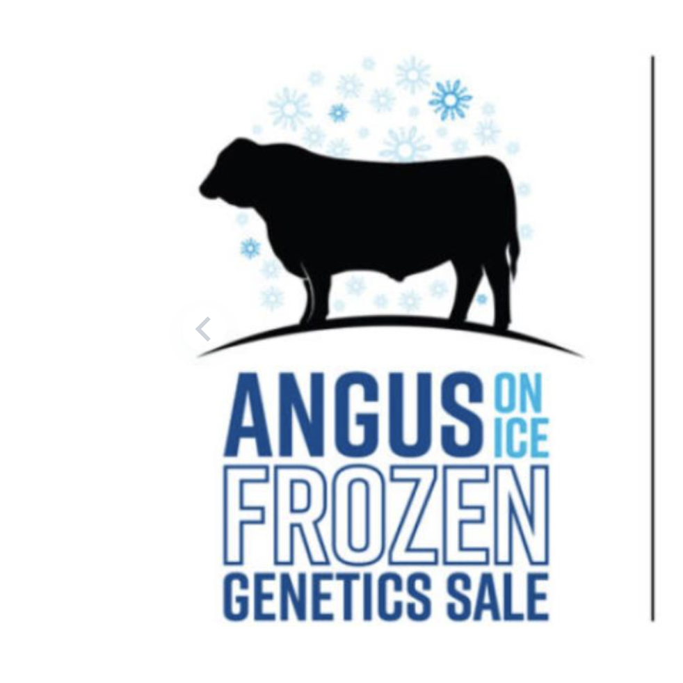 ONLINE at AUCTIONSPLUS